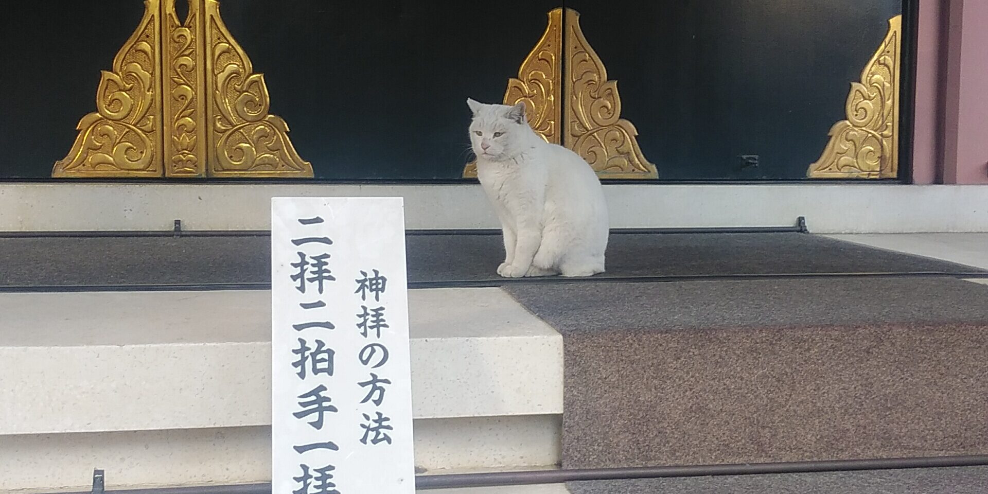 オールペンなら埼玉 東川口のワイズオートデザイン 売血リベンジ だが断る 埼玉県川口市の板金塗装 オールペンならワイズオートデザイン